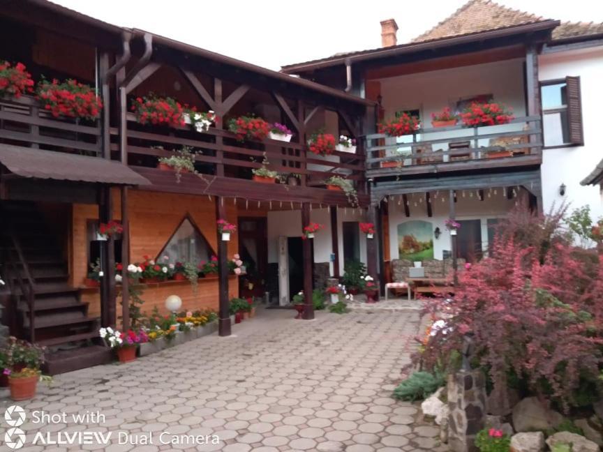 Pensiunea Liana Nemsa Bagian luar foto
