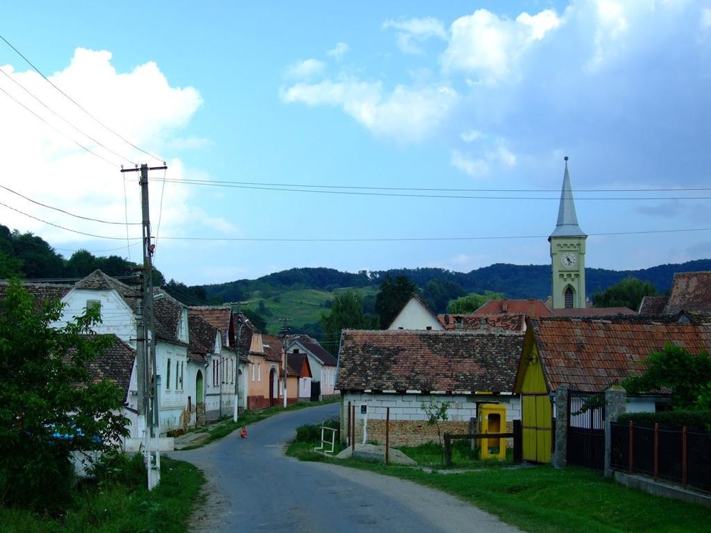 Pensiunea Liana Nemsa Bagian luar foto