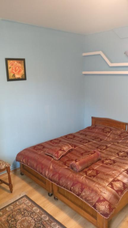 Pensiunea Liana Nemsa Bagian luar foto