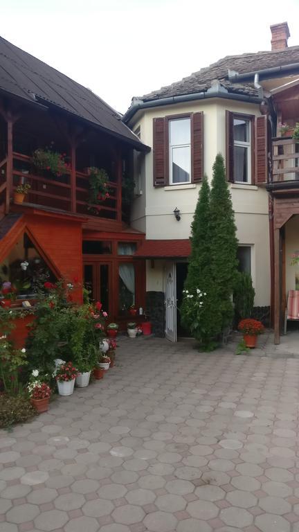 Pensiunea Liana Nemsa Bagian luar foto