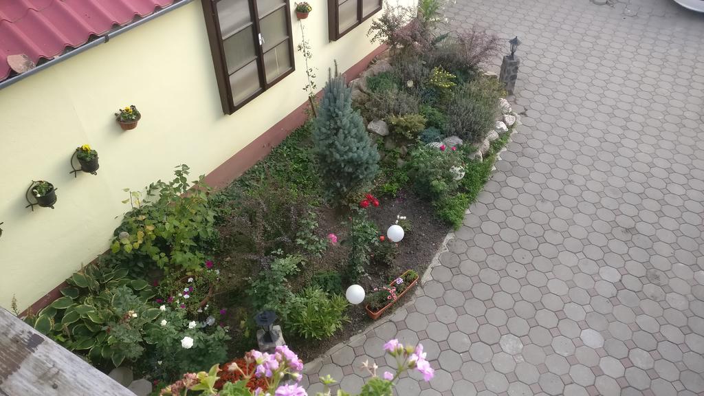 Pensiunea Liana Nemsa Bagian luar foto