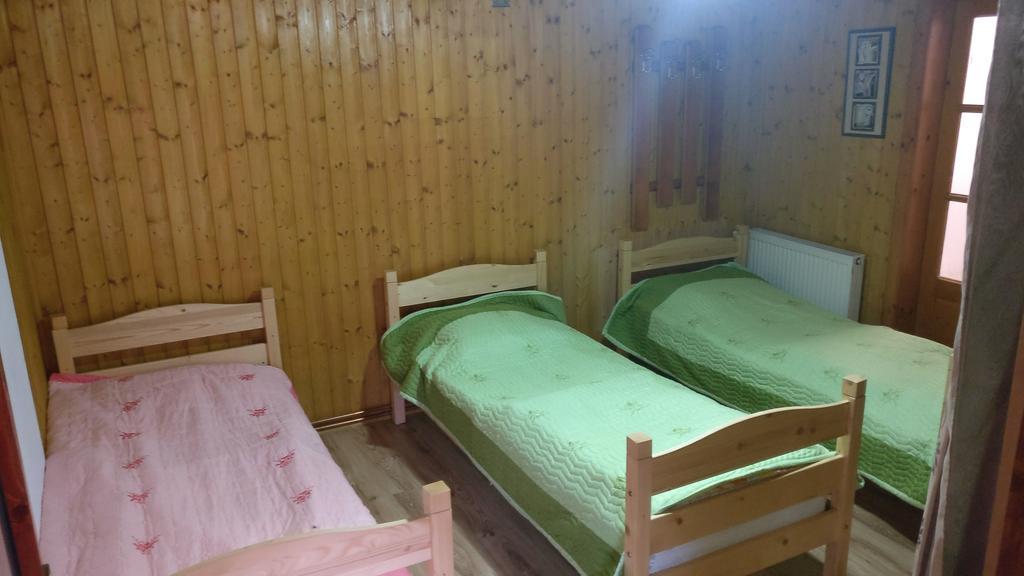Pensiunea Liana Nemsa Bagian luar foto