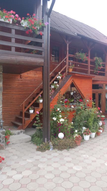 Pensiunea Liana Nemsa Bagian luar foto