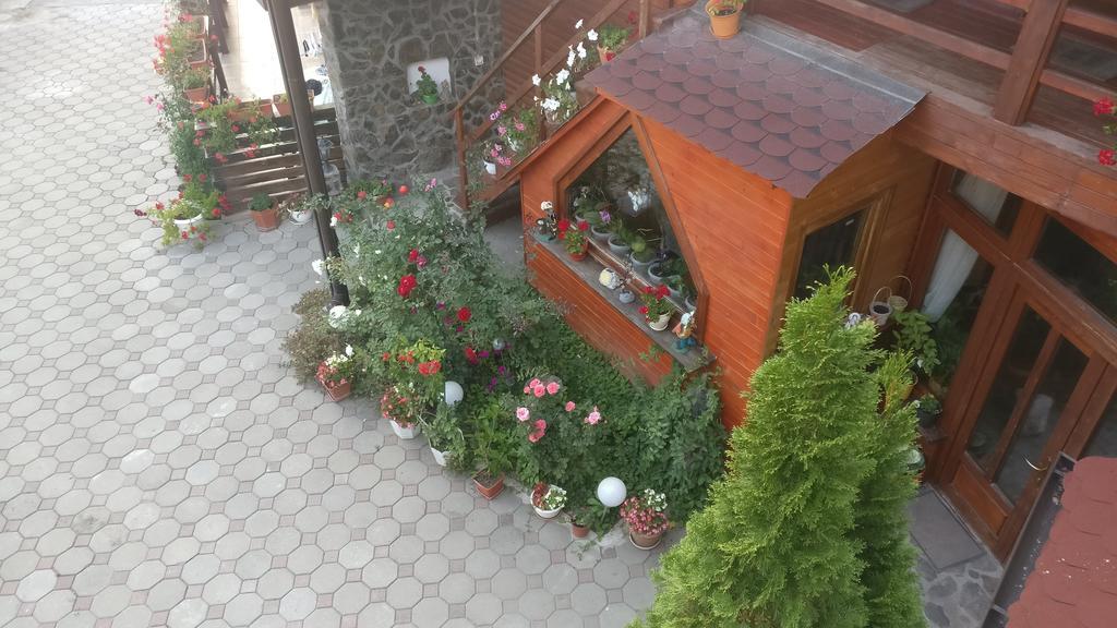 Pensiunea Liana Nemsa Bagian luar foto