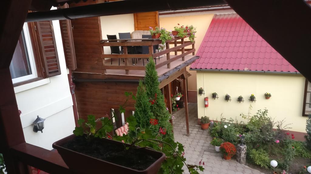Pensiunea Liana Nemsa Bagian luar foto
