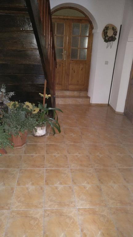 Pensiunea Liana Nemsa Bagian luar foto