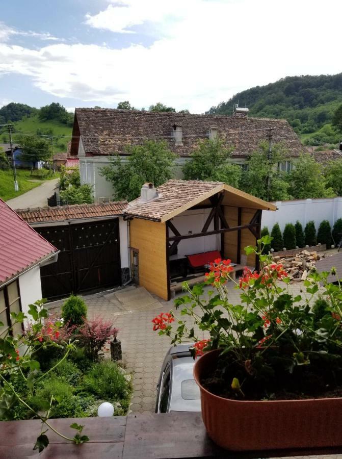 Pensiunea Liana Nemsa Bagian luar foto