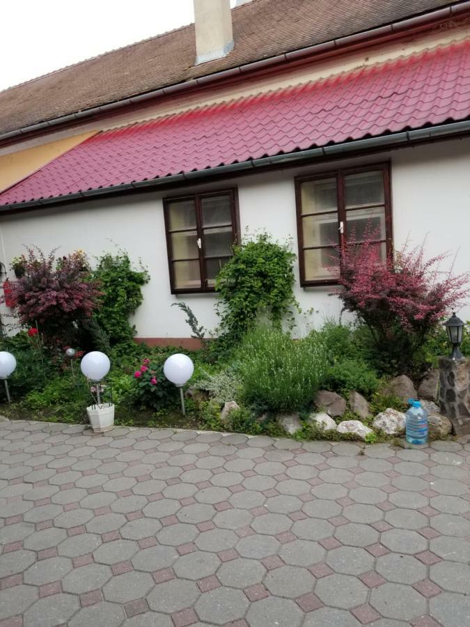 Pensiunea Liana Nemsa Bagian luar foto