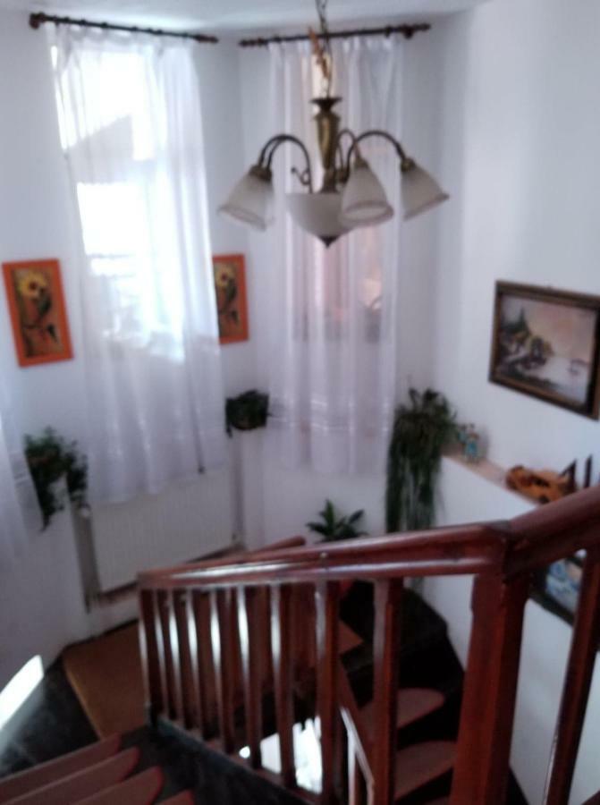 Pensiunea Liana Nemsa Bagian luar foto
