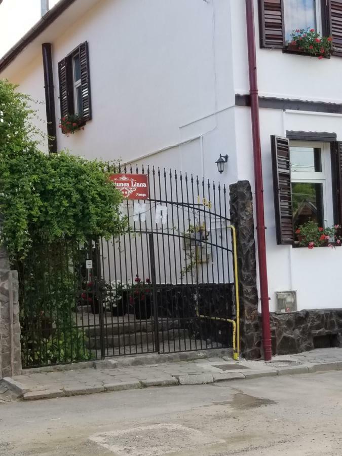 Pensiunea Liana Nemsa Bagian luar foto