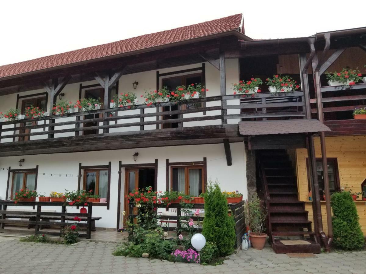 Pensiunea Liana Nemsa Bagian luar foto