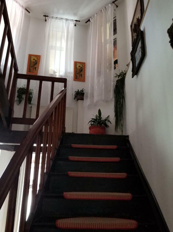 Pensiunea Liana Nemsa Bagian luar foto