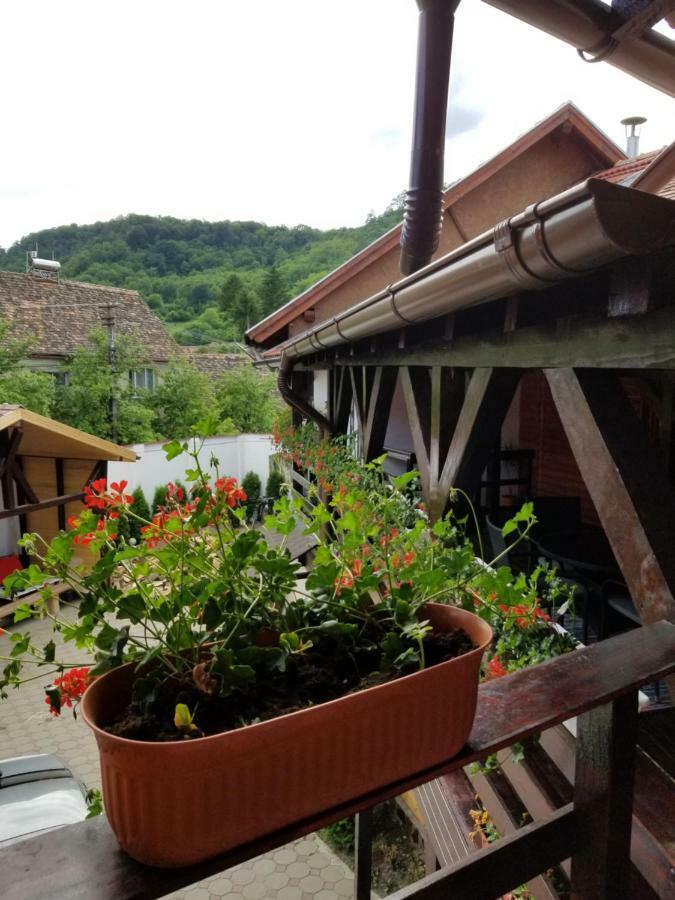 Pensiunea Liana Nemsa Bagian luar foto