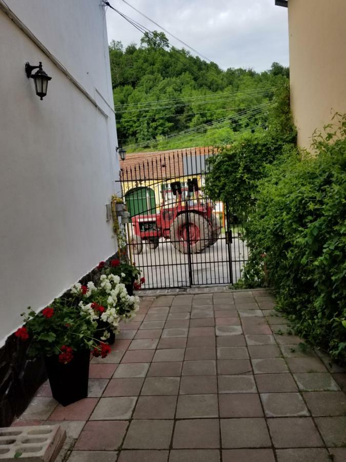 Pensiunea Liana Nemsa Bagian luar foto